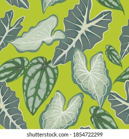 El patrón tropical sin costuras deja el fondo. Conjunto de vectores de exótico jardín tropical para invitaciones de vacaciones, tarjetas de felicitación y diseño de moda.