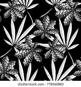 Tropical Seamless Pattern With Leaves of Palm Trees On White Background. Hand Drawn Jungle Texture In Zentangle Style. Ornate Seamless Background for Print, Interior, Wallpaper, Swimwear.