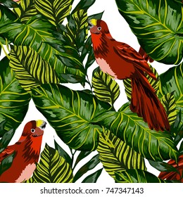 Tropical seamless pattern with leaves and red parrot.Beautiful allover print with hand drawn exotic plants and birds. Swimwear tropical design.