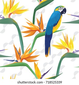 Tropical seamless pattern with macaw birds and bird of paradise flowers on white background. Vector set of exotic tropical garden for wedding invitations, greeting card and fashion design. 