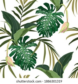 Tropical seamless pattern with many kind of exotic palm leaves and Medinilla flower on white background.