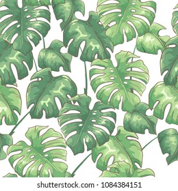 Tropical seamless pattern with monstera leaves on white background. Exotic vector background.