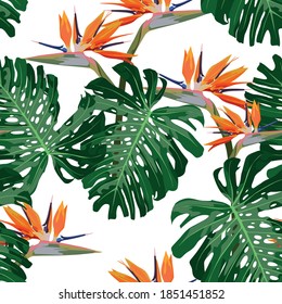 Tropical seamless pattern. Monstera leaves and strelitia paradise flowers on white background. Seamless exotic pattern with tropical plants. Jungle leaves. Botanical pattern.