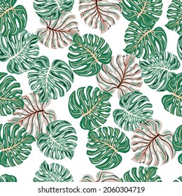 Patrón tropical sin costuras con hojas de monstera aisladas en fondo blanco. Papel tapiz de las plantas folláricas botánicas de moda. Un entorno hawaiano exótico. Diseño para tela, impresión textil, envoltura