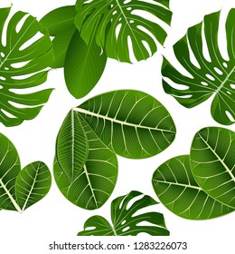 Tropisches nahtloses Muster mit lackierten Händen von exotischen grünen Monstera und Terminalblättern.