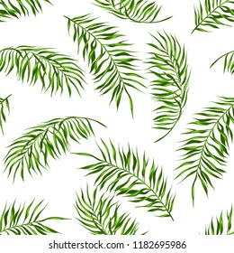 Tropical seamless pattern. Palm leaves of coconut tree.