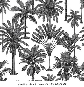 Padrão tropical sem costura com palmeiras e folhas.Estilo linear.Vetor ilustração botânica.Preto e branco esboço.Folhagem design para papel de parede, têxtil e papel de embrulho.Fundo havaiano.