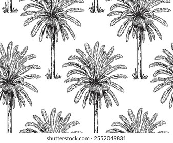 Tropical seamless pattern with palm trees. Hawaiian design. Black and white sketch. Vector botanical illustration on a white background.