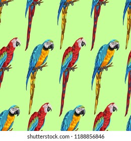 Tropical seamless pattern with parrots. Hand drawn exotic birds.