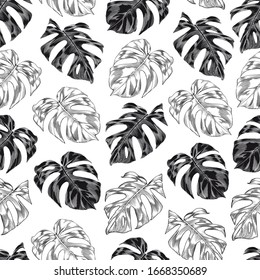 Tropical seamless pattern with stylised monstera leaves. Black and white drawing. Vector illustration on white background.