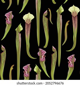 Tropical seamless pattern. Summer print. Jungle rainforest. Sarracenia, genus of carnivorous plants. Monkey cups exotic plant. Seamless floral pattern with exotic flowers on black background.