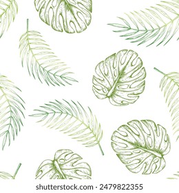 Tropical seamless pattern with vector monstera and palm leaves illustrations on isolated background. Beautiful botanical hand painted exotic element. For designers, spa decoration, postcards, wedding,