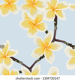 Tropical seamless pattern with white plumeria flowers.  Background with Hawaiian flowers and plants on blue backdrop. 