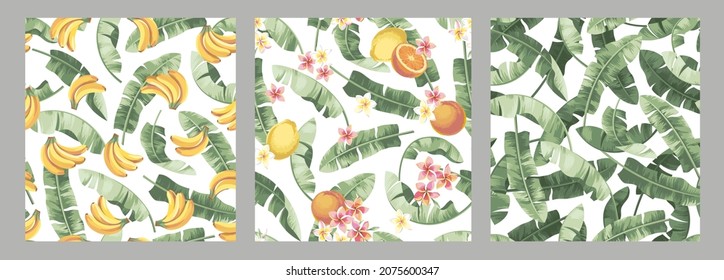 Tropical seamless patterns collection. Vintage foliage backgrounds. Exotic palm leaves, fruits and flowers. Botanical vector illustration. 