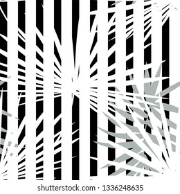 Tropical seamless vector floral pattern with palm leaves, jungle leaf. Tropic monochrome background, black and white illustration.