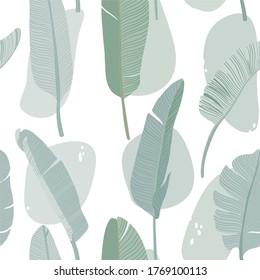 Tropical seamless vector pattern with jungle leaves banana palms  exotic print design textile and fashion
