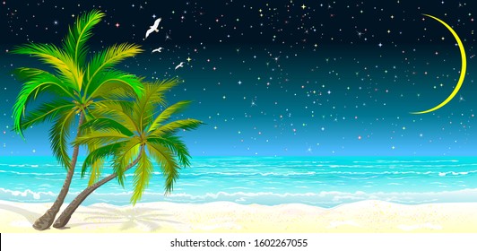 Tropical seascape. Palm trees on the sandy shore against the background of the sea and the night starry sky.                                                                                           