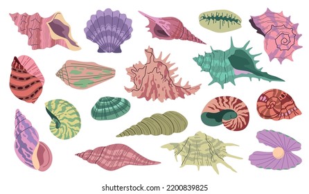 Tropical seashell. Beach color shells, underwater mineral elements, patterned reef objects different shapes, oyster with pearl, marine life, decor graphic collection, tidy vector cartoon set