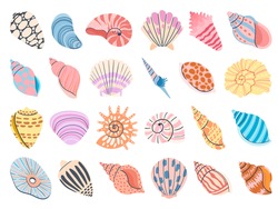 Tropical Seashell. Cartoon Clam, Oyster And Scallop Shells. Colorful Underwater Conches Of Mollusk And Sea Snail. Ocean Shellfish Vector Set Isolated On White. Colorful Undersea Elements