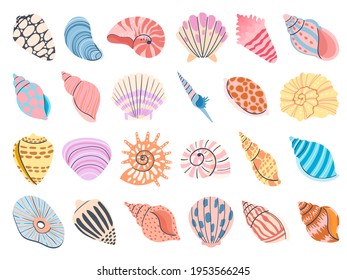 Tropical seashell. Cartoon clam, oyster and scallop shells. Colorful underwater conches of mollusk and sea snail. Ocean shellfish vector set isolated on white. Colorful undersea elements