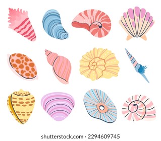 Tropical seashell. Cartoon clam, oyster and scallop shells. Vector of seashell sea underwater illustration