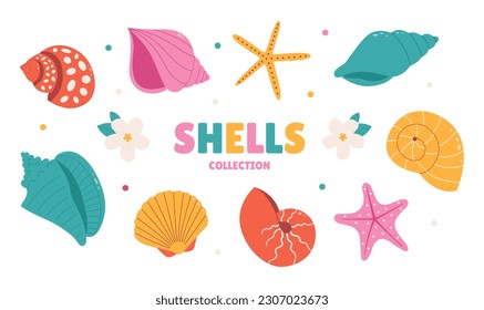 Tropical seashell. Cartoon clam, oyster and scallop shells. Colorful underwater conches of mollusk and sea snail. Ocean shellfish vector set isolated on white. Colorful undersea elements