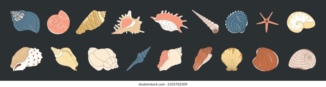 Tropical seashell. Cartoon clam, oyster and scallop shells. Colorful underwater conches of mollusk and sea snail. Vector stock illustration, all elements isolated. Colorful undersea elements