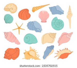 Tropical seashell. Cartoon clam, oyster and scallop shells. Colorful underwater conches of mollusk and sea snail. Ocean shellfish vector set isolated on white. Colorful undersea elements