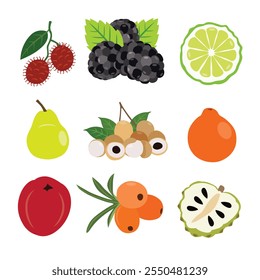 Coleta de Frutas Tropicais e Sazonais