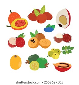 Tropical and Seasonal Fruit Collection