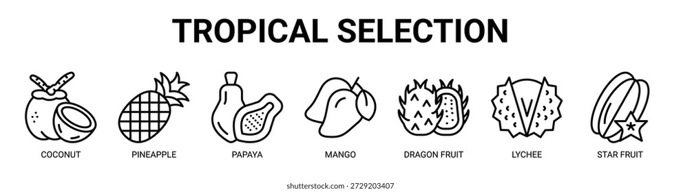 Concepto de Ilustración vectorial de ícono de Anuncio de Web de selección tropical con ícono de coco, piña, papaya, mango, fruta de dragón, lichi y fruta de estrella.