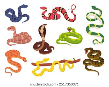 Tropical serpents. Cartoon snakes, exotic reptile anaconda cobra python venomous snake copperhead kingsnake poisonous viper jungle animals, wildlife ingenious vector illustration original artwork