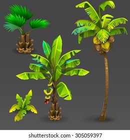 Tropical set 3