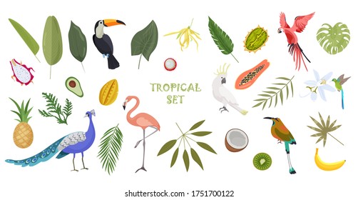 Tropical set with birds, plants and fruits. Tropical leaves, plants, and flowers. Exotic banner for design and textiles. Tropical bright set. Summer set of stickers, poster.
