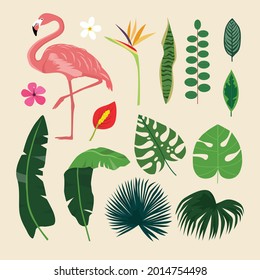 Tropical set collection of exotic flowers, jungle leaves, monstera plant, pink flamingo. Vector illustrations, decorative beauty floral elements isolated