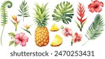 Tropical Set. Exotic flower hibiscus, orchid, monstera palm leaf and pineapple, ripe fruit. Jungle watercolor painting.