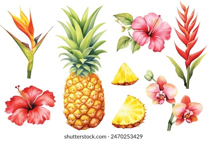 Tropisches Set. Exotische Blüte Hibiskus, Orchidee, Monstera Palmblatt und Ananas, reife Früchte. Dschungel Aquarell Malerei.