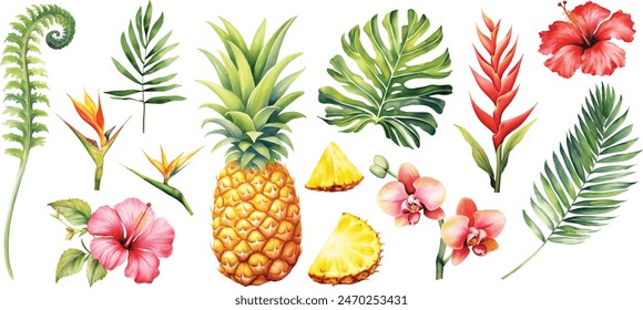 Tropical Set. Exotic flower hibiscus, orchid, monstera palm leaf and pineapple, ripe fruit. Jungle watercolor painting.