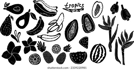 Tropical set of exotic flowers and fruits. Banana, avocado, plumeria, papaya, pineapple, watermelon, avocado, cashew. Vector set of elements for design and decoration.