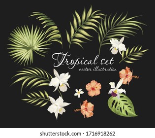 Tropical set with fowers and palm leaves. Vector collection of isolated elements. Exotic foliage.