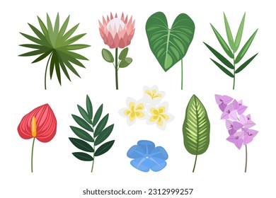 Tropical set of hand drawn flowers and leaves. Vector botanical illustration.