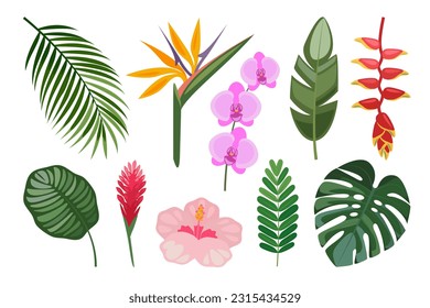 Tropical set of hand drawn flowers and leaves. Vector botanical illustration.