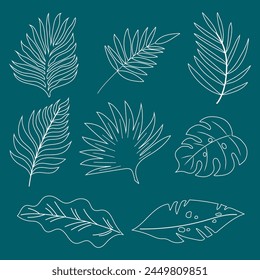 Tropical set of line art palm leaves. Vector handdrawn design.