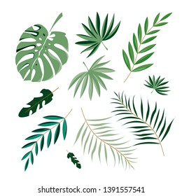 Tropical set on white background. Botanical wrapping paper, fabric, background design - Vector