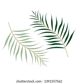 Tropical set on white background. Botanical wrapping paper, fabric, background design - Vector