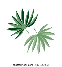 Tropical set on white background. Botanical wrapping paper, fabric, background design - Vector