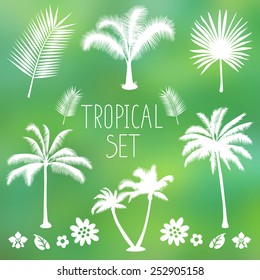 Tropical set: palm trees, flowers and foliage silhouettes isolated on blur background. Vector