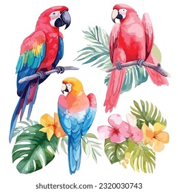 Conjunto tropical con un pájaro loro, loro acuarela con flor de jungla, aislado de fondo blanco. vector,Arreglo tropical con hojas, flores y pájaro, loro rojo y azul