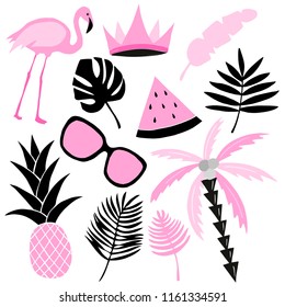 Tropical set in pink and black colors. Flamingo, watermelon, palm, leaves. Vector collection.