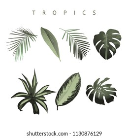 Tropical set. Vector